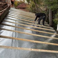 ROOF_ECO